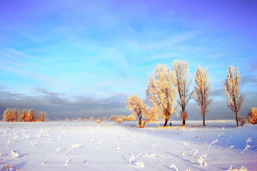 455439 (a): :2560x1700